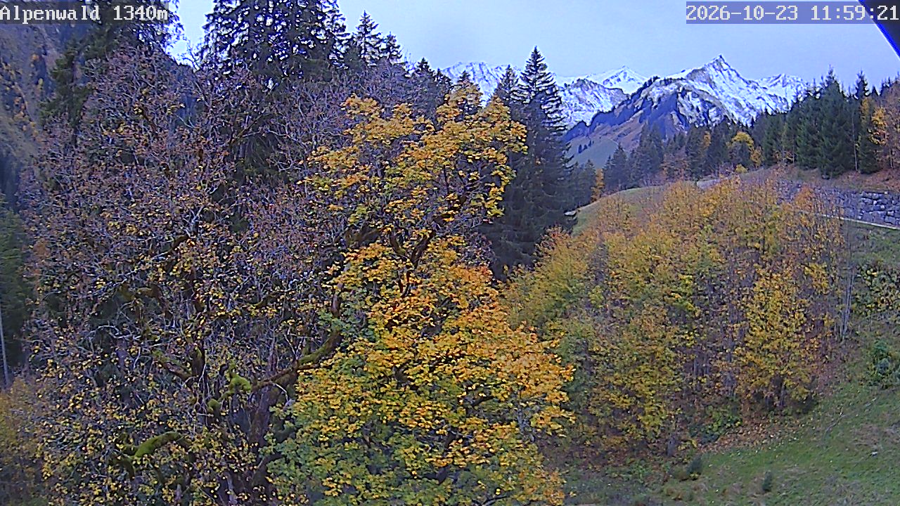 Bild: Gasthof Alpenwald